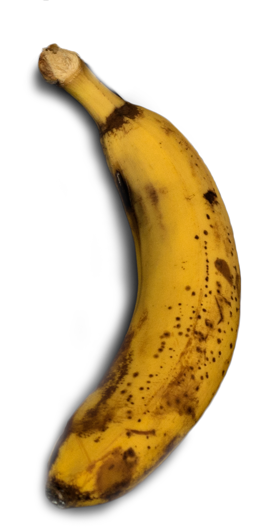 Доклад по теме Банан