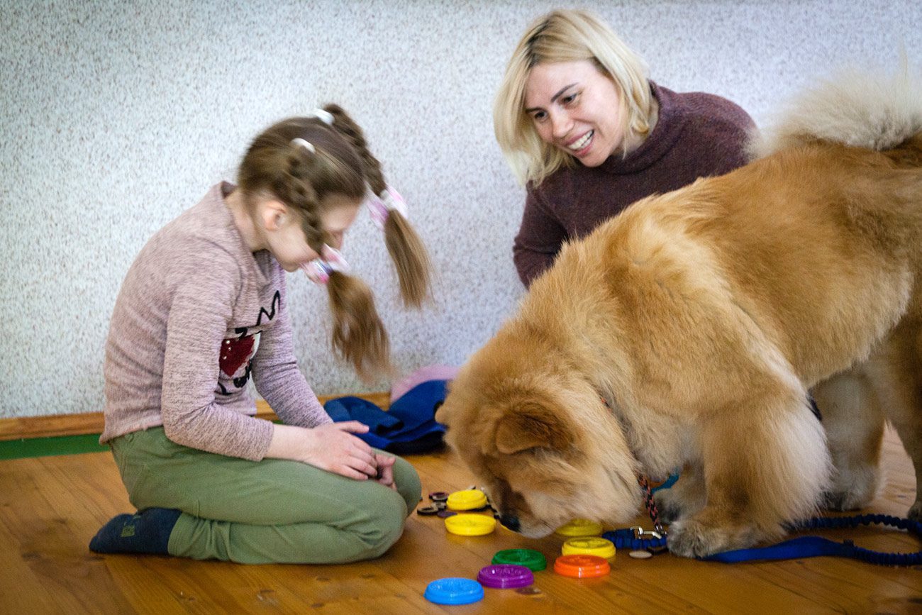 Як собаки допомагають людям з інвалідністю