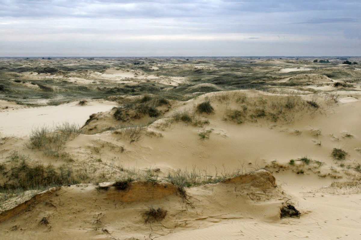 Опустынивание — пандемия XXI века, которая угрожает и Украине
