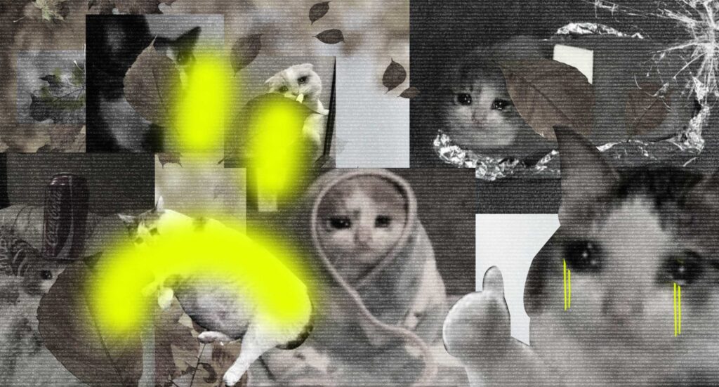 Осенняя депрессия: симптомы, как избежать, чем лечат