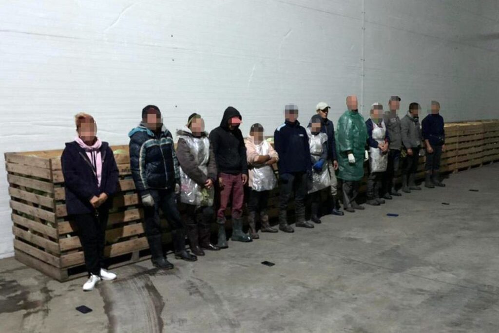 <b>Хотели работу — потеряли свободу.</b> Как украинцы попадают в трудовое рабство и почему эта проблема шире, чем кажется - Заборона slavery 05 1024x683 - <b>Хотели работу — потеряли свободу.</b> Как украинцы попадают в трудовое рабство и почему эта проблема шире, чем кажется - Заборона