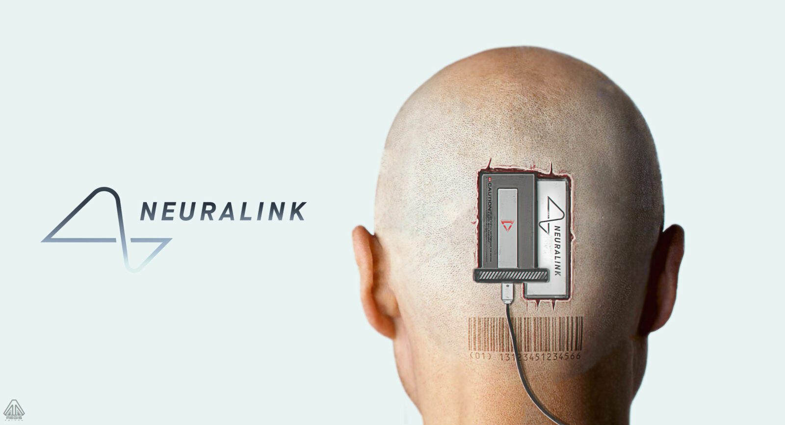 Neeuralink