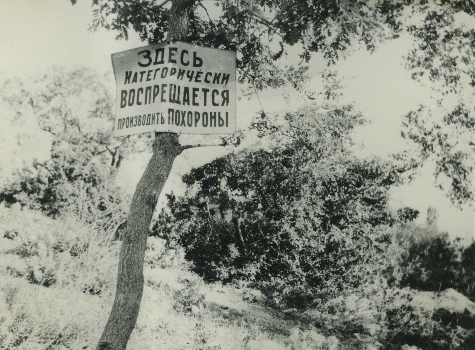 Оголошення на околицях Харкова. 1933 р.  Фото: Wikimedia Commons / ЦДКФФА України імені Гордія Пшеничного