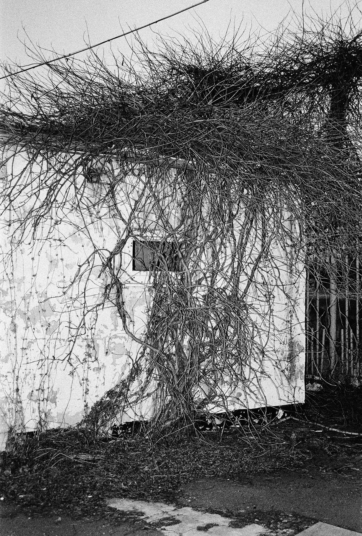 Маріупольський вайб до окупації від стріт-фотографа Стіл Аглі
