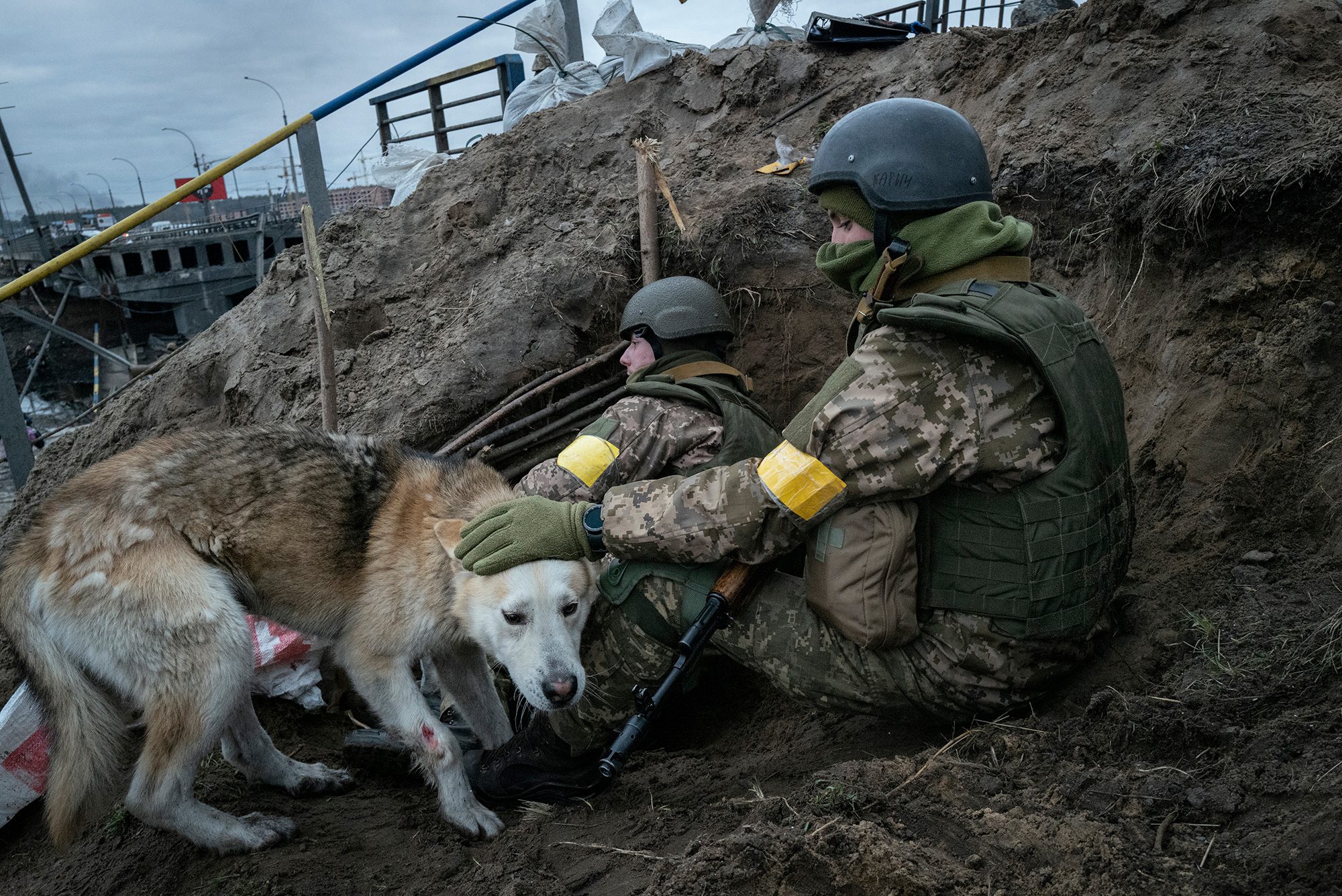 Польські фотографи, які знімають війну в Україні