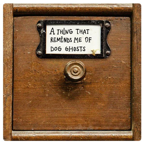 a thing that reminds me of dog ghosts