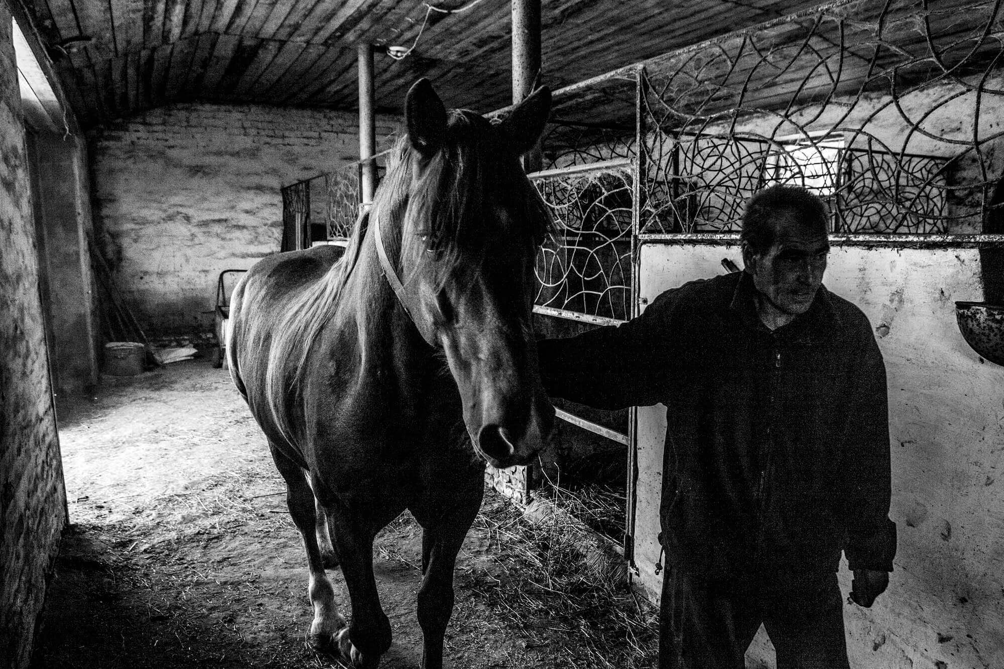 Денис Керпек (праворуч) та Дмитро Новицький гладять коней. Фото: Станіслав Остроус / Заборона